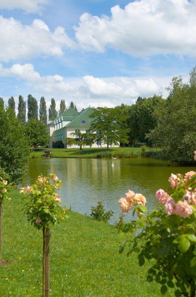 Hotel Restaurant Le Rive Gauche Joigny Esterno foto